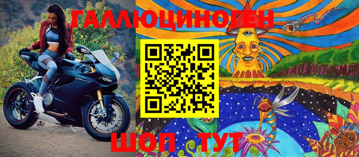 Галлюциногенные грибы MAGIC MUSHROOMS  где можно купить   Артём  Псилоцибиновые грибы Psilocybe  Вход с VPN 