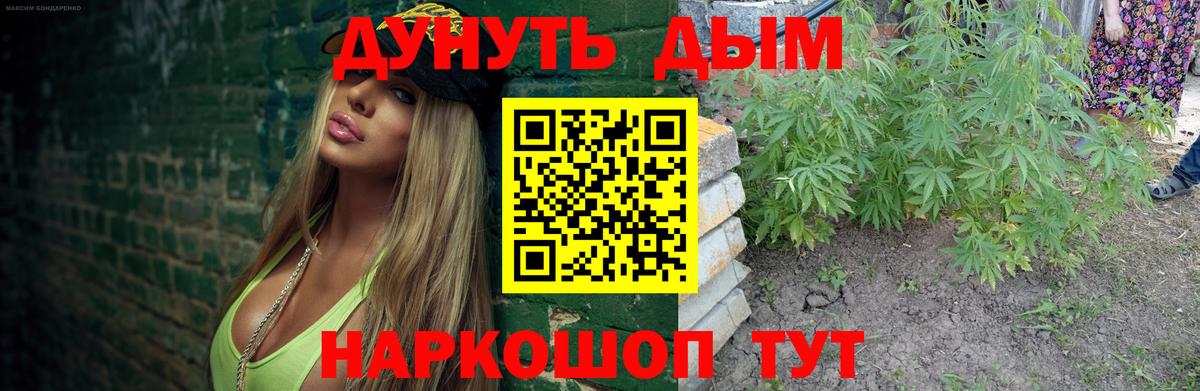 МАРИХУАНА планчик  Вход с VPN  Канабис планчик  Артём  Бошки Шишки гибрид  Канабис AK-47 